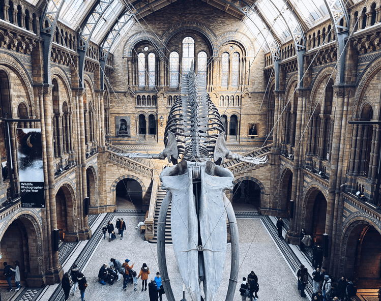 Natural History Museum London